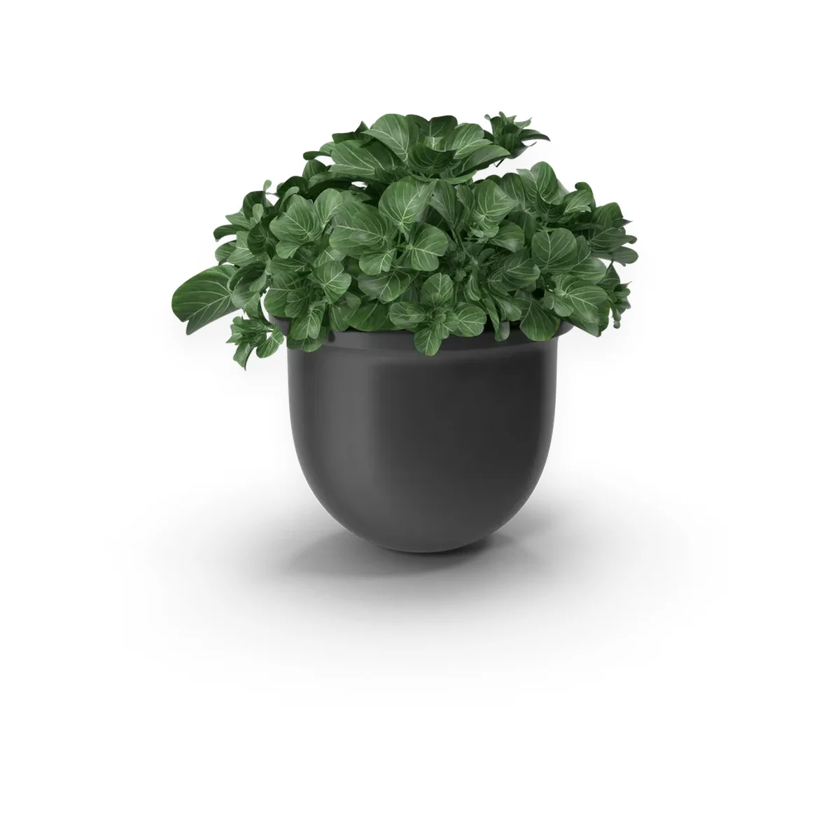LeafLux Ceramic Planter
